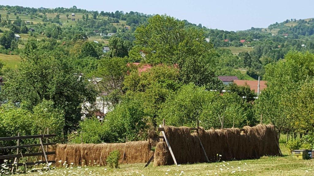 Pensiunea Simi Moisei Zewnętrze zdjęcie